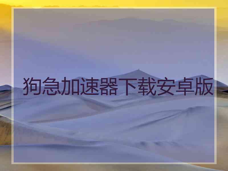 狗急加速器下载安卓版