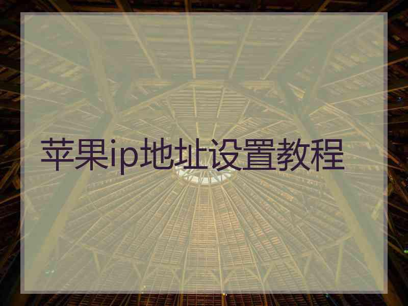 苹果ip地址设置教程