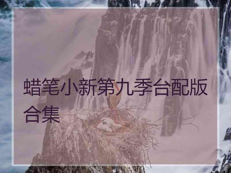 蜡笔小新第九季台配版合集