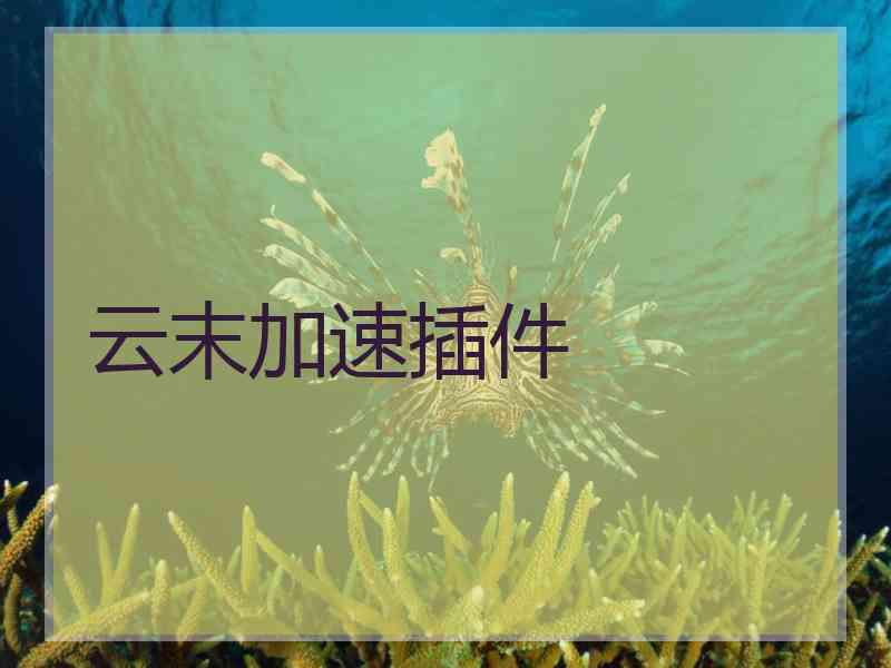 云末加速插件