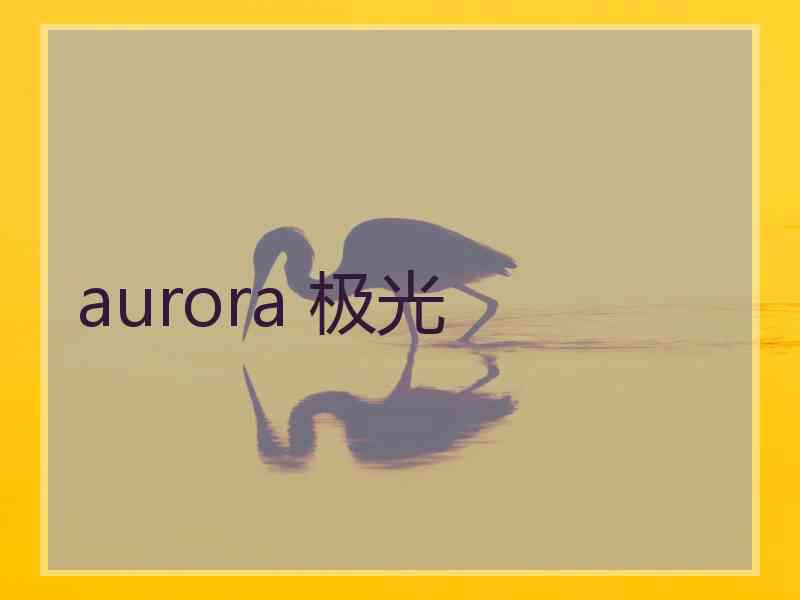 aurora 极光
