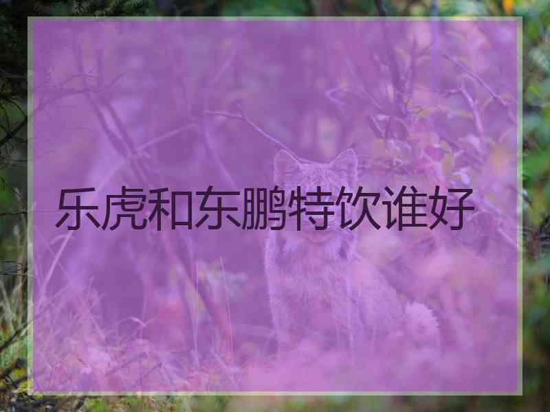 乐虎和东鹏特饮谁好