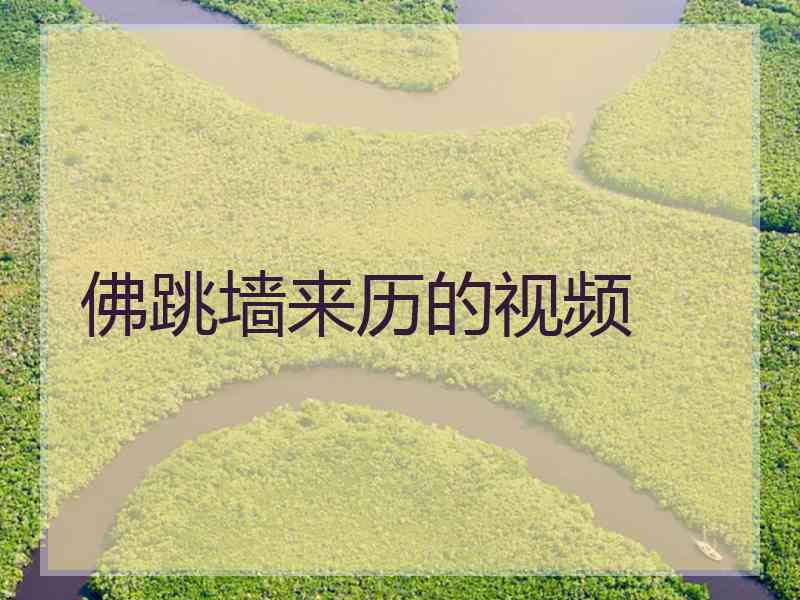 佛跳墙来历的视频