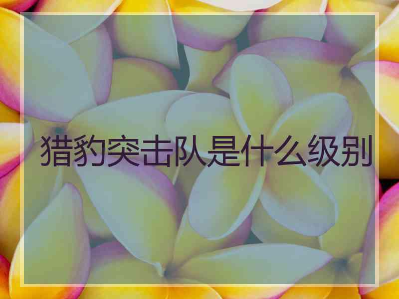 猎豹突击队是什么级别