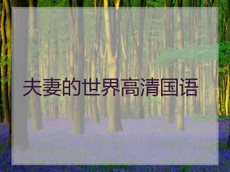 夫妻的世界高清国语