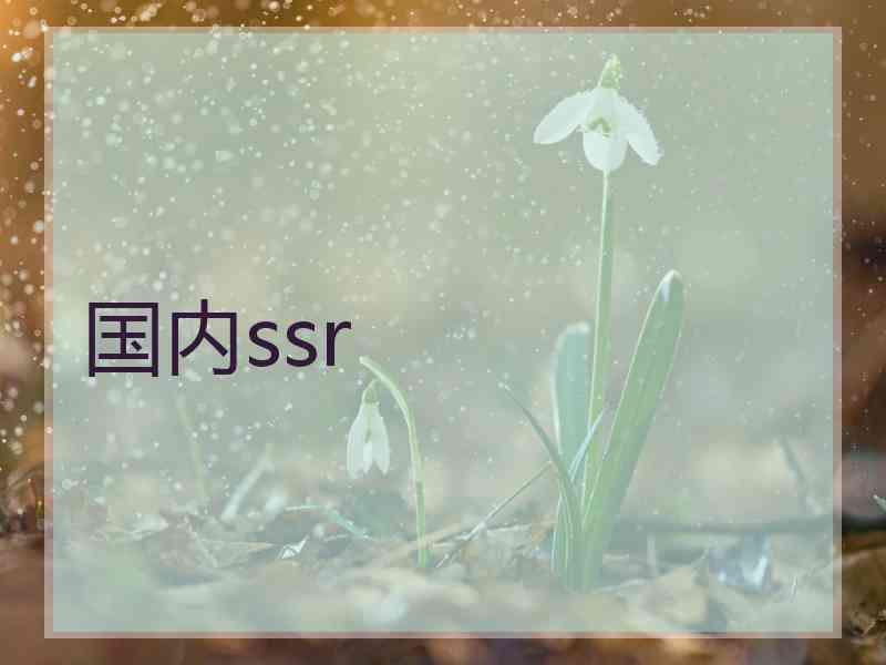 国内ssr