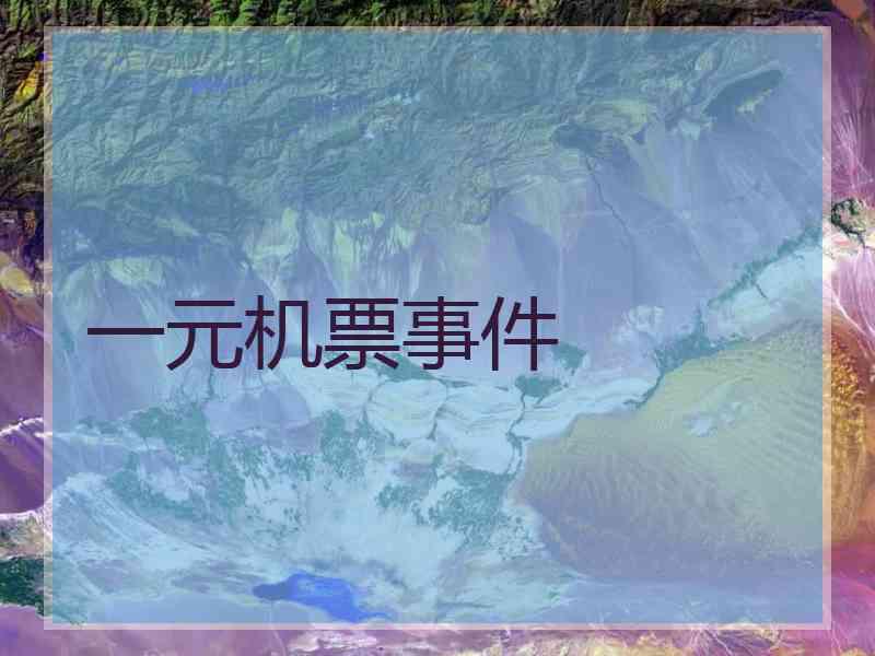 一元机票事件