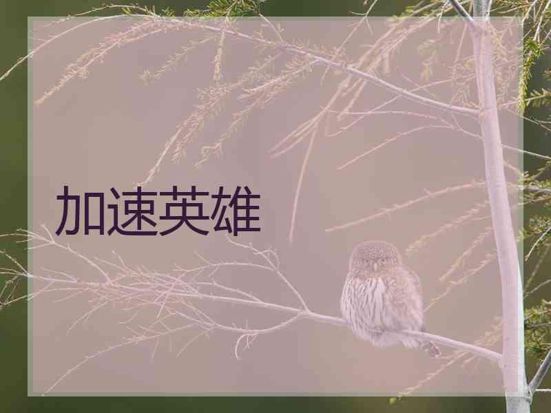 加速英雄