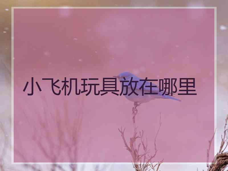 小飞机玩具放在哪里