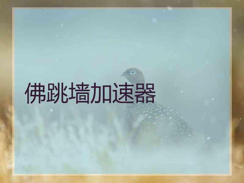 佛跳墙加速器