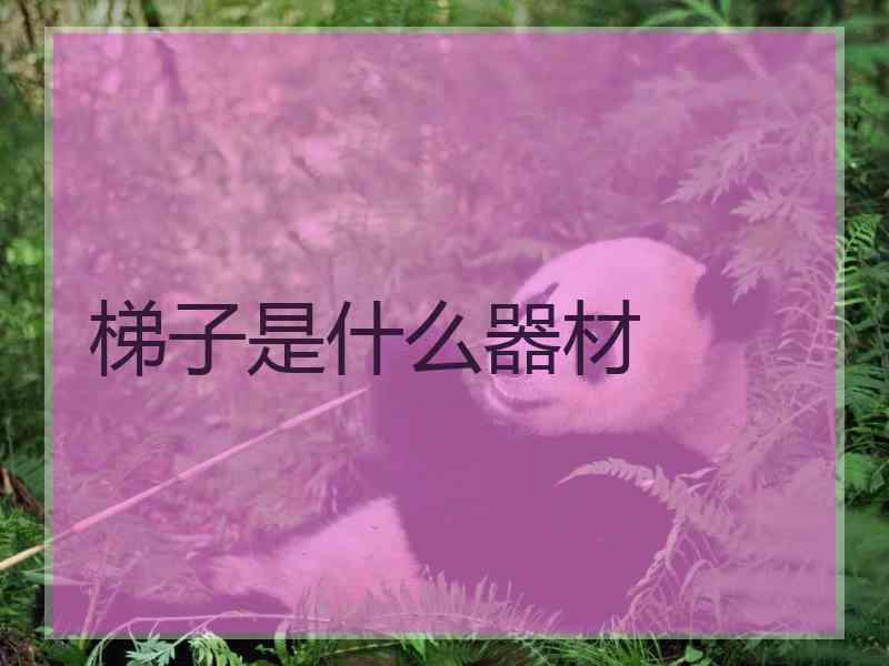梯子是什么器材
