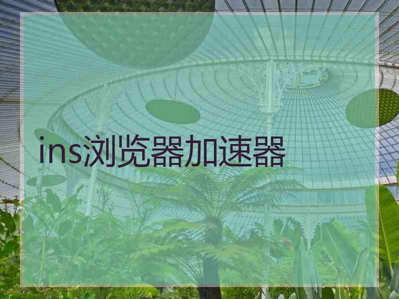 ins浏览器加速器