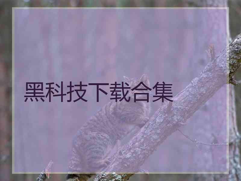 黑科技下载合集