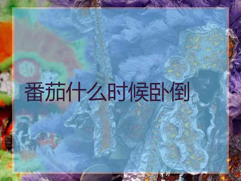 番茄什么时候卧倒
