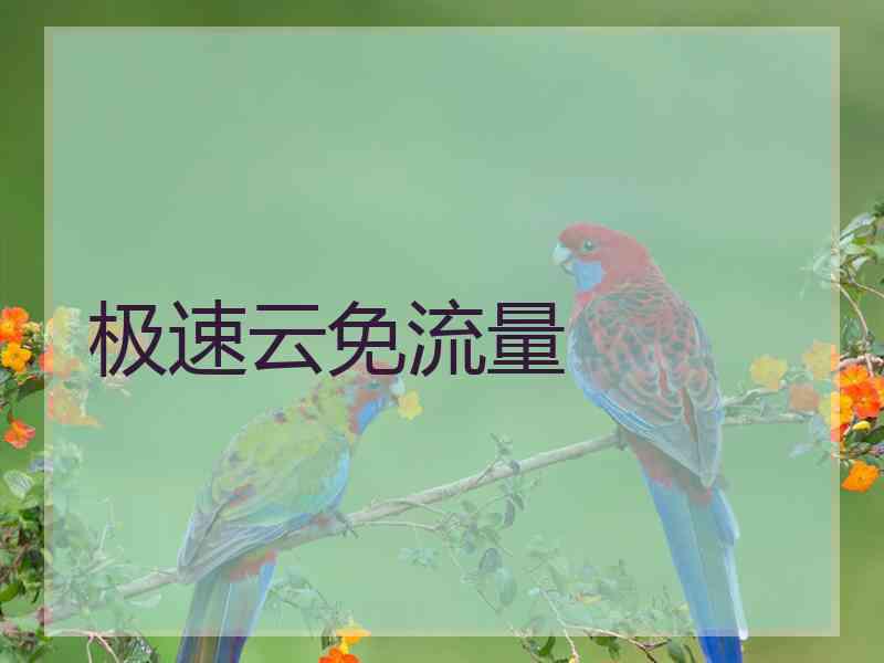 极速云免流量