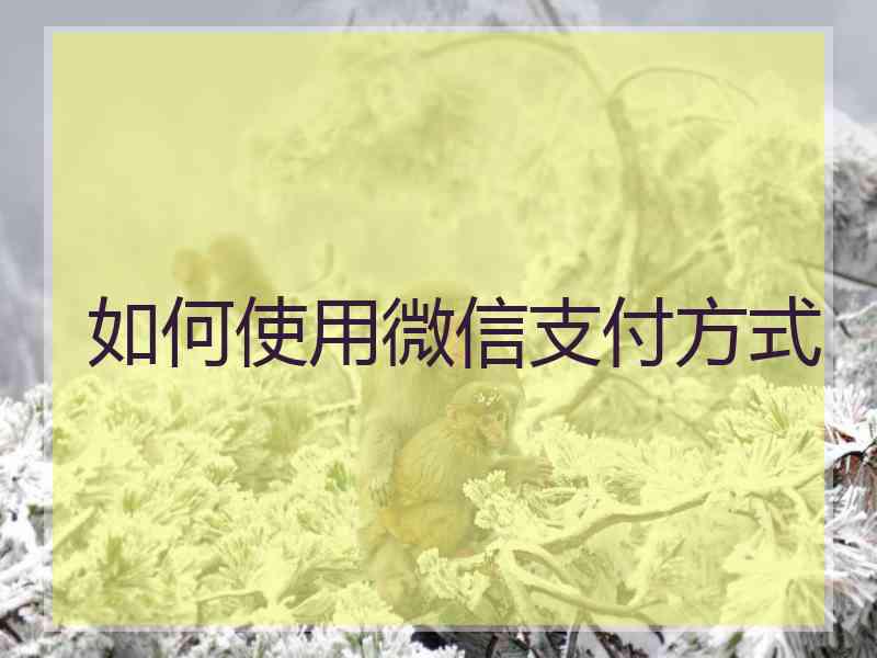 如何使用微信支付方式