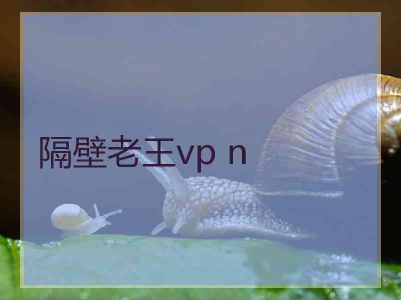 隔壁老王vp n
