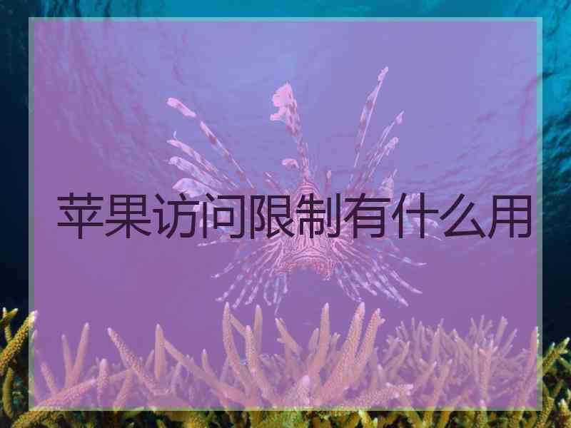 苹果访问限制有什么用