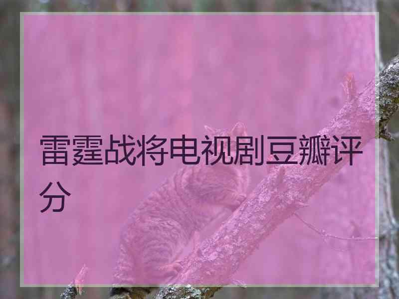 雷霆战将电视剧豆瓣评分
