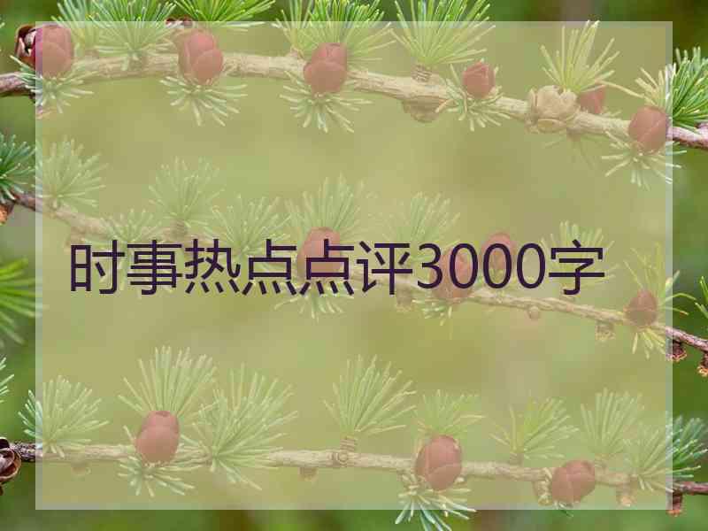 时事热点点评3000字