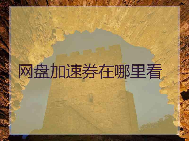 网盘加速券在哪里看