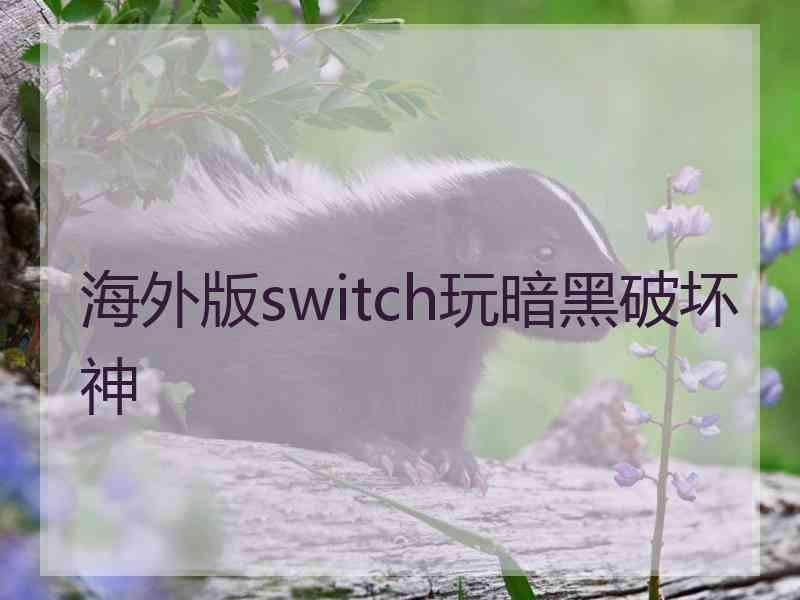 海外版switch玩暗黑破坏神