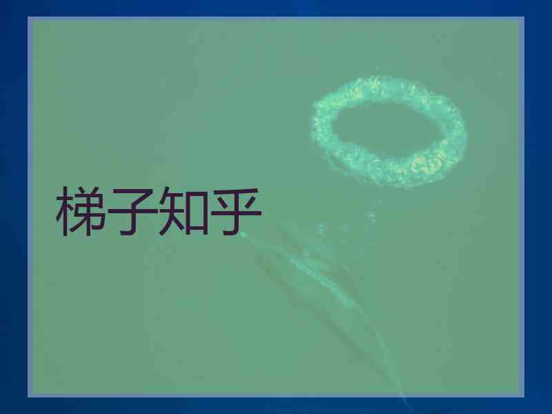 梯子知乎