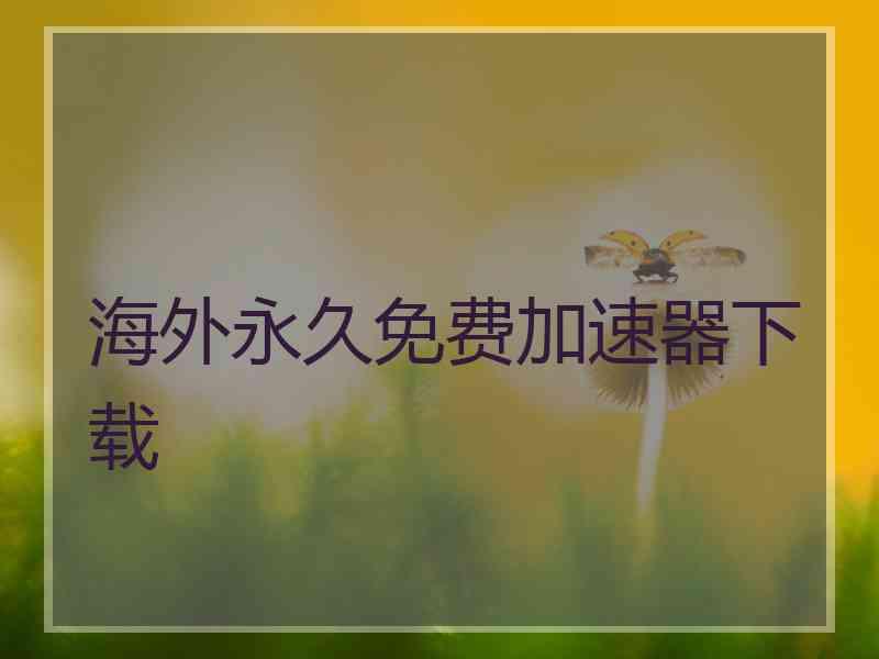 海外永久免费加速器下载