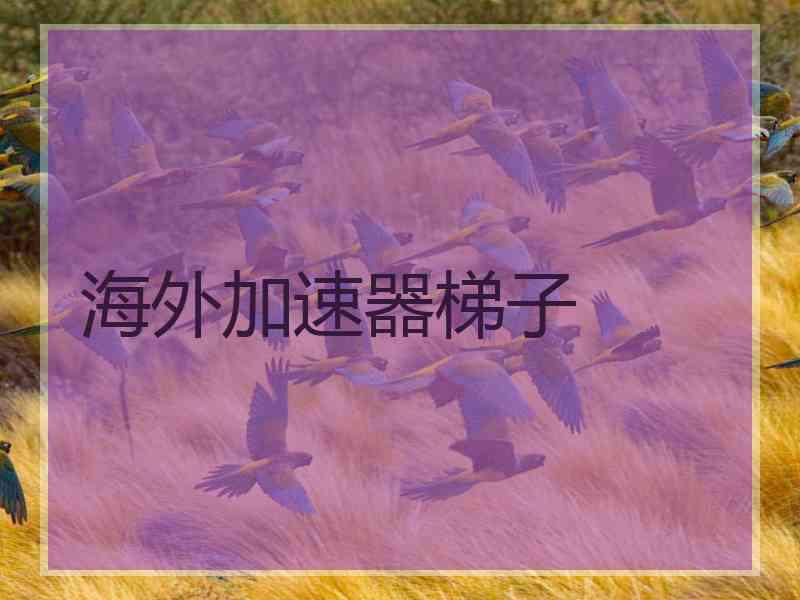 海外加速器梯子