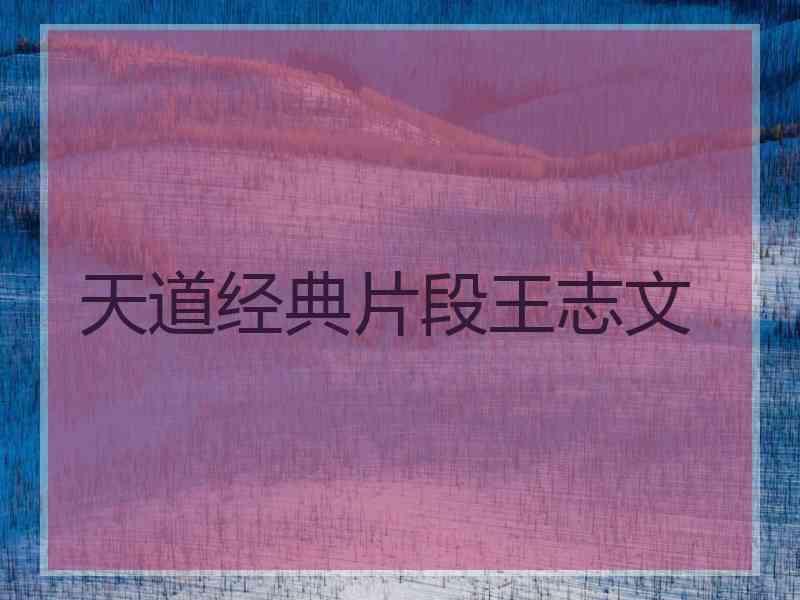 天道经典片段王志文