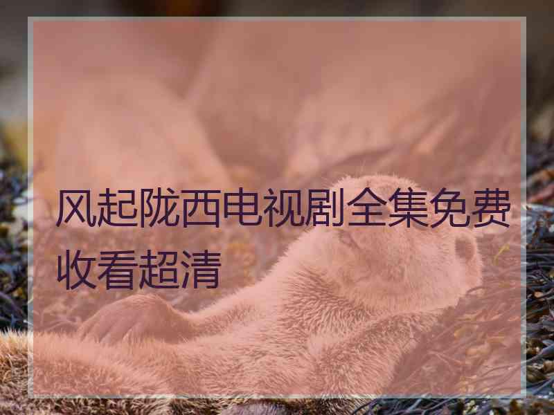 风起陇西电视剧全集免费收看超清