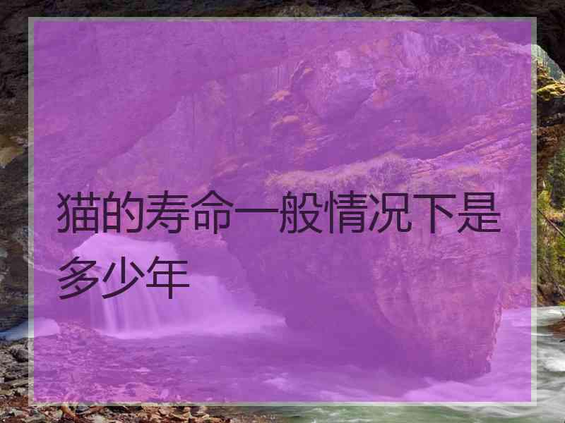 猫的寿命一般情况下是多少年
