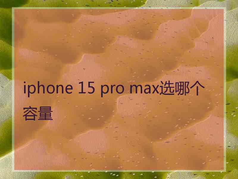 iphone 15 pro max选哪个容量