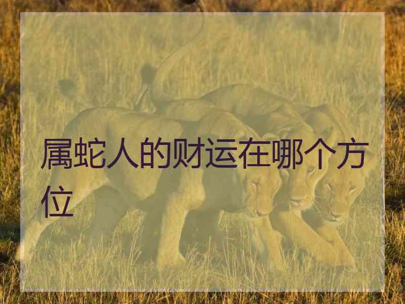 属蛇人的财运在哪个方位