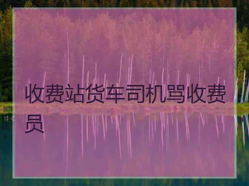 收费站货车司机骂收费员