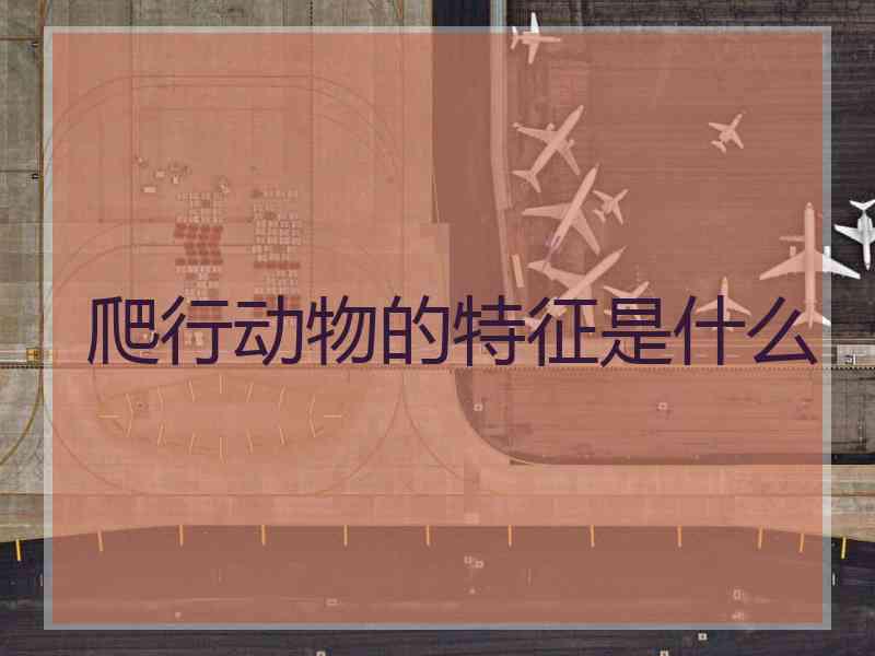 爬行动物的特征是什么