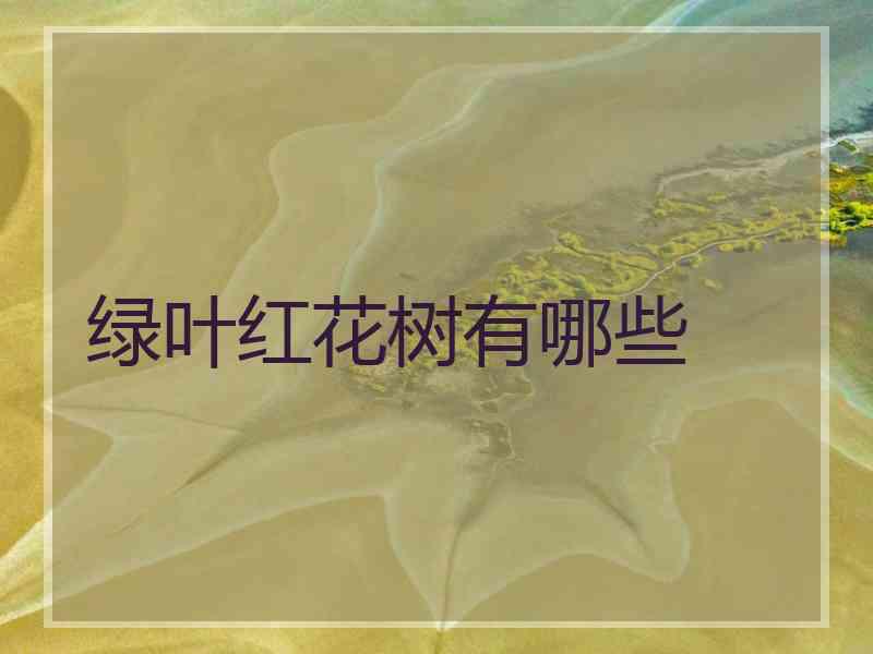 绿叶红花树有哪些