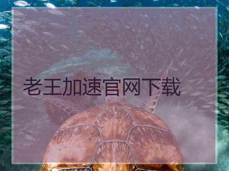 老王加速官网下载