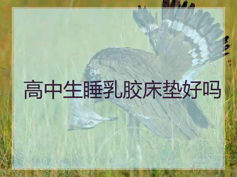 高中生睡乳胶床垫好吗