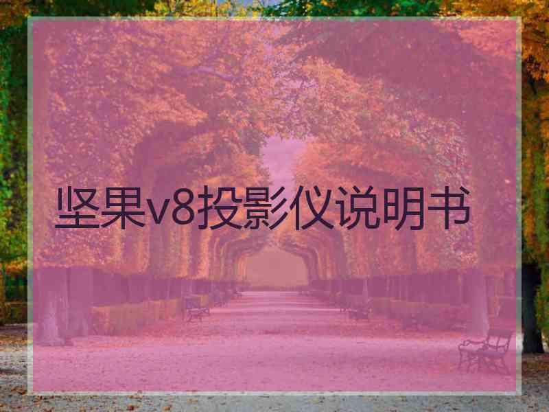 坚果v8投影仪说明书