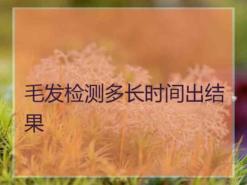 毛发检测多长时间出结果