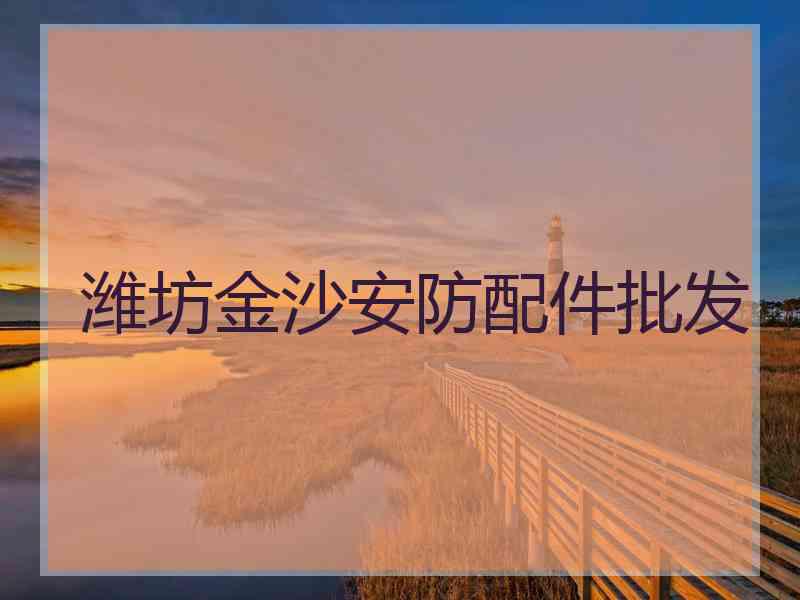 潍坊金沙安防配件批发