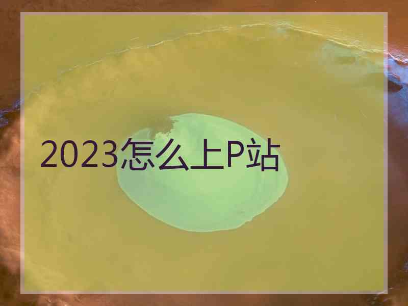 2023怎么上P站