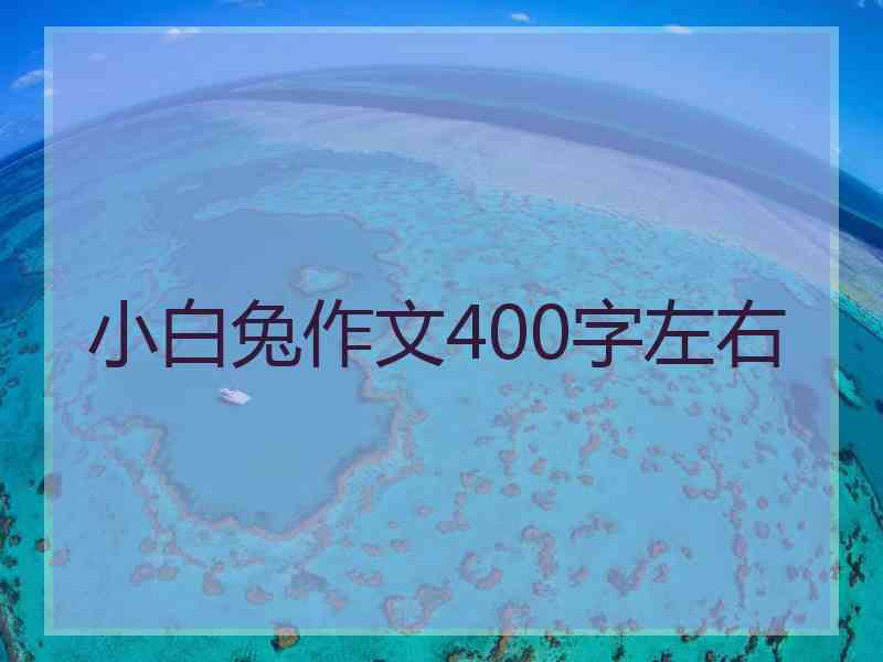 小白兔作文400字左右