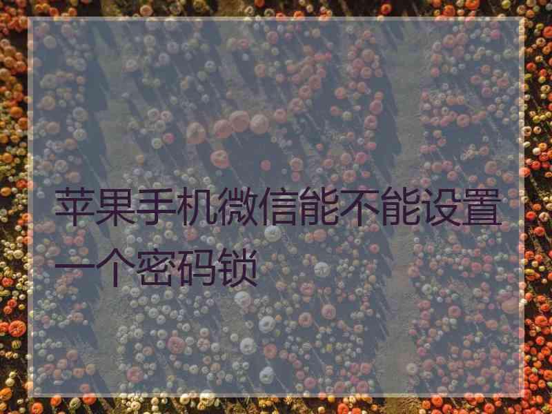 苹果手机微信能不能设置一个密码锁