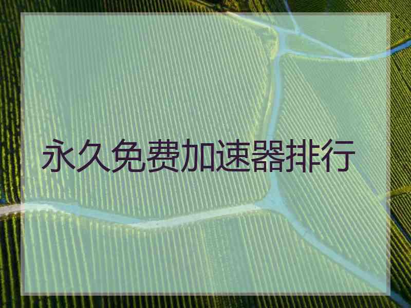 永久免费加速器排行