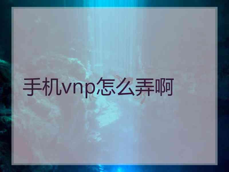 手机vnp怎么弄啊