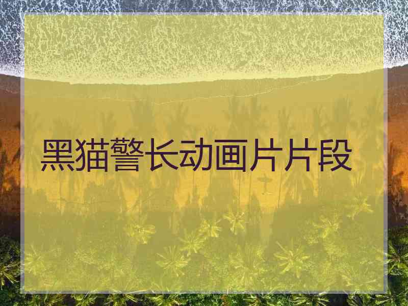 黑猫警长动画片片段