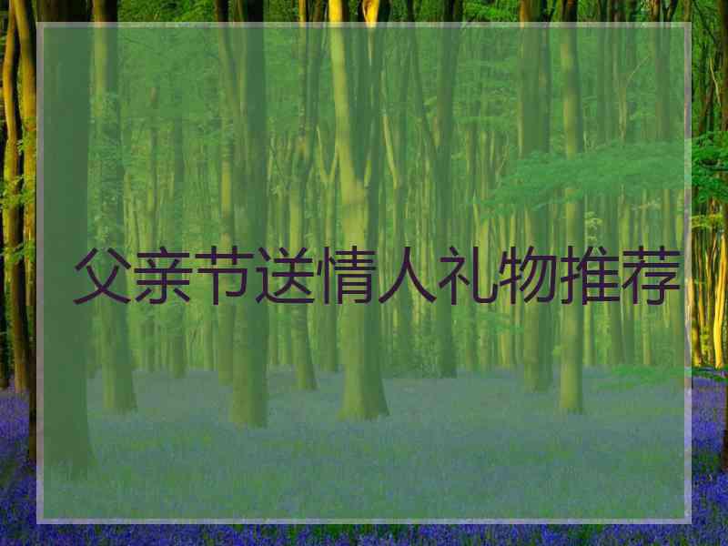 父亲节送情人礼物推荐