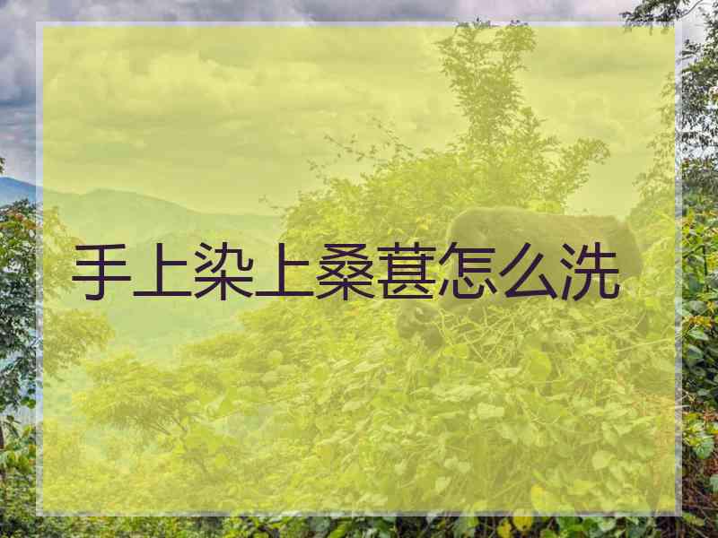 手上染上桑葚怎么洗